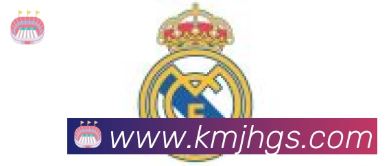 九游登陆入口合作伙伴